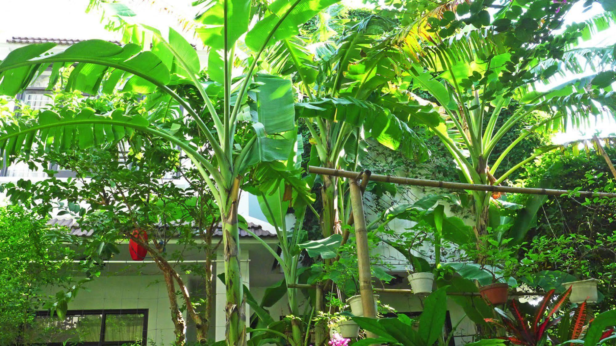 East West Villa Hoi An Exteriör bild